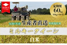 【10kg×6】定期便 令和7年産 ミルキークイーン白米 5kg×2袋 10kg 6ヶ月 お米 ご飯 こめ コメ  特別栽培米 新潟 新潟県 新潟産 新発田 新発田市 新発田産 備蓄食 生産者直送