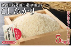 令和6年産 コシヒカリ 特別栽培米 5kg すぐ 米 こめ ご飯 ごはん おいしい 新潟 新潟県 米 新発田産 新潟産 朝食 昼食 夕飯 炊きたて 精米 watasho004_2