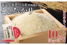 令和6年産 コシヒカリ 特別栽培米 10kg 5kg×2袋 すぐ 米 こめ ご飯 ごはん おいしい 新潟 新潟県 米 新発田産 新潟産 朝食 昼食 夕飯 炊きたて 精米 watasho005_2