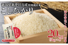 特別栽培米 コシヒカリ 20kg 5kg×4袋 令和6年産  米 こめ ご飯 ごはん おいしい 新潟 新潟県 米 5kg 10kg 20k コシヒカリ 新発田産 新潟産 朝食 昼食 夕飯 炊きたて 精米 watasho006_1
