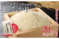 特別栽培米 コシヒカリ 20kg 5kg×4袋 令和6年産  米 こめ ご飯 ごはん おいしい 新潟 新潟県 米 5kg 10kg 20k コシヒカリ 新発田産 新潟産 朝食 昼食 夕飯 炊きたて 精米 watasho006_1