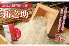 新之助 5kg 令和6年産   お米 こめ ご飯 ごはん おいしい 新潟 新潟県 米 5kg 新発田産 新潟産 朝食 昼食 夕飯 炊きたて 精米 ブランド watasho007_1