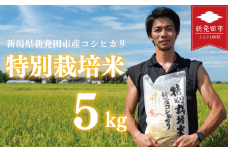 先行予約 コシヒカリ 白米 5kg 令和7年産 特別栽培米 こしひかり 米 お米 こめ 新潟米 新潟県産 新潟産 新潟 新潟県 新発田産 新発田 新発田市 斗伸 toushin002_02