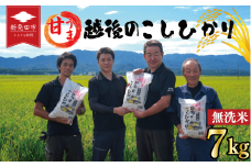 先行予約 こしひかり 無洗米 7kg 令和7年産 甘うま越後の コシヒカリ 米 お米 こめ 新潟米 新潟県産 新潟産 新潟 新潟県 新発田産 新発田 新発田市 斗伸 toushin005_02