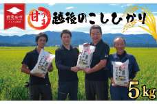 先行予約 こしひかり 白米 5kg 令和7年産 新米 甘うま越後の コシヒカリ 米 お米 こめ 新潟米 新潟県産 新潟産 新潟 新潟県 新発田産 新発田 新発田市 斗伸 toushin004_02