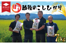 先行予約 こしひかり 白米 7kg 令和7年産 新米 甘うま越後の コシヒカリ 米 お米 こめ 新潟米 新潟県産 新潟産 新潟 新潟県 新発田産 新発田 新発田市 斗伸 toushin006_02