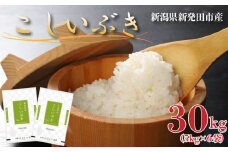 令和6年産 新潟県産 こしいぶき 30kg （5kg×6袋） 新潟県 新潟産 新潟米 新発田産 新発田 お米 米  kome 白米 ご飯 こめ ごはん ライス ふるさと納税米  お弁当 食品 こしいぶき せいだ とんとん市場  お取り寄せ 贈答 人気 贈り物 ブランド米 人気米 数量限定 玄米 seida001