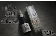 【数量限定】十一人の賊軍　純米大吟醸 720ml × 1本 酒 おいしい お酒 芳醇 地酒 純米酒 純米大吟醸 吟醸 大吟醸  映画 十一人の賊軍 ギフト プレゼント アウトドア プレミア 菊水酒造 17000円 17,000円 新潟県 新発田市 