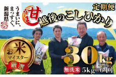 【令和6年産】 無洗米 コシヒカリ 定期便 5kg 6ヵ月 30kg 甘うま越後のこしひかり 越後 えちご  特別栽培米 新潟 コメ こめ お米 米 しんまい 新潟県 新潟米 新発田市 新発田産 斗伸