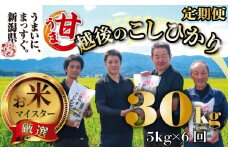 【令和6年産】 コシヒカリ 定期便 5kg 6ヵ月 30kg 甘うま越後のこしひかり 越後 えちご  特別栽培米 新潟 コメ こめ お米 米 しんまい 新潟県 新潟米 新発田市 新発田産 斗伸