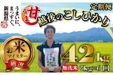 【令和6年産】 無洗米 コシヒカリ 定期便 7kg 6ヵ月 42kg 甘うま越後のこしひかり 越後 えちご  特別栽培米 新潟 コメ こめ お米 米 しんまい 新潟県 新潟米 新発田市 新発田産 斗伸