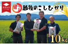 先行予約 こしひかり 白米 10kg 令和7年産 新米 甘うま越後の コシヒカリ 米 お米 こめ 新潟米 新潟県産 新潟産 新潟 新潟県 新発田産 新発田 新発田市 斗伸 toushin014_02