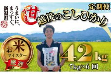 【令和6年産】 コシヒカリ 定期便 7kg 6ヵ月 42kg 甘うま越後のこしひかり 越後 えちご  特別栽培米 新潟 コメ こめ お米 米 しんまい 新潟県 新潟米 新発田市 新発田産 斗伸
