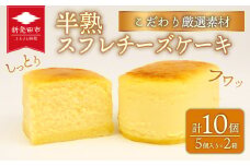  半熟スフレ チーズケーキ10個 5個入り 2箱 贈答 ギフト おすすめ 菜菓亭 新潟銘菓 新潟 新発田 いえい 菜菓亭 洋菓子 お歳暮 iei001_02