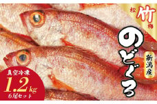 ノドグロ 6尾セット 1尾 約200g以上 新潟 日本海産 高級魚 アカムツ 新鮮 真空 急速冷凍 冷凍 魚介類 日本海 新潟産 国産 松竹梅 新発田 魚介 年末 推し【竹】