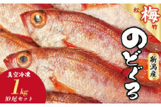 ノドグロ 10尾セット 1尾 約100g以上 新潟 日本海産 高級魚 アカムツ 新鮮 真空 急速冷凍 冷凍 魚介類 日本海 新潟産 国産 松竹梅 魚介 年末 推し【梅】