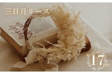 ドライフラワー リース ホワイト×ゴールド 【 クリスマス クリスマス飾り ハンドメイド 手作り 天然素材 リース 壁飾り おしゃれ 玄関飾り 季節限定 インテリア ギフト プレゼント 贈答用 お取り寄せ ナチュラルデザイン クリスマスデコレーション 冬のインテリア 父の日 OLIOLI FLOWER 新潟県 新発田市 OLIOLI002 】