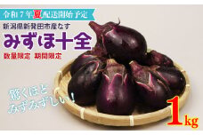 なす 1kg （ 約 15個 ）みずほ十全 野菜 旬 旬の野菜 期間限定 数量限定 【 新潟県 新発田産 のぞみふぁーむ ナス 農福連携 先行予約 1kg  甘い 柔らかい 十全なす 小茄子 特産品 nozofarm002 】