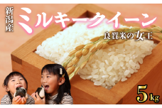 【先行予約】 令和7年産 ミルキークイーン 5kg ご飯 備蓄 コシヒカリ こしひかり 突然変異種 コメ お米 米 こめ しんまい 新潟産 新潟米 新潟県 新潟 新発田 新発田市 国産 新発田市産 斗伸 toushin015_02
