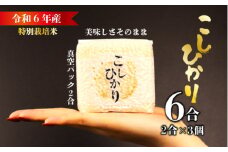 令和6年産 こしひかり 真空パック 2合 × 3個セット 生産者直送 お米 ご飯 こめ コメ 特別栽培米 コシヒカリ 新潟 新潟産 新発田 新発田産 保存食 非常食 防災食 備蓄食 防災グッズ キャンプ アウトドア 姉﨑農園 新潟県 新発田市 anezaki005