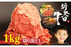 牛肉 切り落とし 1kg 肉 和牛 霜降り ブランド牛 新発田牛 にいがた和牛 しゃぶしゃぶ 小分け 小間切れ 新潟県 新発田市 新潟 新発田 アルビレックス アルビレックス新潟 近江牛 神戸牛 松阪牛 米沢牛 三大和牛 に負けない えのもとミート enomoto021