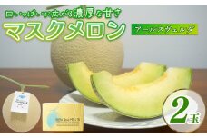 【2025年9月中旬発送開始】 マスクメロン 2玉 メロン フルーツ ギフト 果物 夏 季節限定 甘い おいしい 贈り物 お取り寄せ 産地直送 新鮮 熟成 国産 スイーツ デザート ジューシー 贈答用 プレゼント 人気 お中元 数量限定 先行予約 新発田ファーム 新潟県 新発田市 shibatafarm003