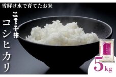令和6年産 コシヒカリ 5kg 数量限定 特別栽培米 二王子米 新潟産 新潟米 新発田産 新発田 お米 米 kome 白米 ご飯 こめ ごはん ライス ふるさと納税米 コシヒカリ お弁当 食品 せいだ とんとん市場 ブランド米 人気米 玄米 新潟県 新発田市 seida002