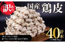 訳あり 焼き鳥  鳥皮 40本 皮 やきとり 国産 鶏肉 とりかわ 皮 鶏皮 串 串焼き おつまみ BBQ バーベキュー アウトドア 冷凍 サトウフーズ 新潟県 新発田市 satofoods002