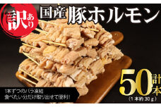 訳あり 豚ホルモン串 50本 国産 豚肉 串 串焼き おつまみ ホルモン 小腸 BBQ バーベキュー アウトドア 冷凍 サトウフーズ 新潟県 新発田市 satofoods001