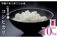 令和6年産 コシヒカリ 10kg 5kg×2袋 数量限定 特別栽培米 二王子米 新潟産 新潟米 新発田産 新発田 お米 米 kome 白米 ご飯 こめ ごはん ライス ふるさと納税米 コシヒカリ お弁当 食品 せいだ とんとん市場 ブランド米 人気米 玄米 新潟県 新発田市 seida003