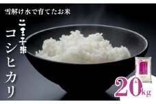 令和6年産 コシヒカリ 20kg 5kg×4袋 数量限定 特別栽培米 二王子米 新潟産 新潟米 新発田産 新発田 お米 米 kome 白米 ご飯 こめ ごはん ライス ふるさと納税米 コシヒカリ お弁当 食品 せいだ とんとん市場 ブランド米 人気米 玄米 新潟県 新発田市 seida004