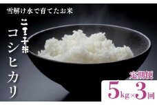【定期便】令和6年産 コシヒカリ 5kg×3ヶ月 15kg 数量限定 特別栽培米 二王子米 新潟産 新潟米 新発田産 新発田 お米 米 kome 白米 ご飯 こめ ごはん ライス ふるさと納税米 コシヒカリ お弁当 食品 せいだ とんとん市場 ブランド米 人気米 玄米 新潟県 新発田市 seida005
