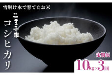 【定期便】令和6年産 コシヒカリ 10kg（5kg×2袋）×3ヶ月 30kg 数量限定 特別栽培米 二王子米 新潟産 新潟米 新発田産 新発田 お米 米 kome 白米 ご飯 こめ ごはん ライス ふるさと納税米 コシヒカリ お弁当 食品 せいだ とんとん市場 ブランド米 人気米 玄米 新潟県 新発田市 seida006