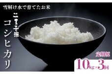 【定期便】令和6年産 コシヒカリ 10kg（5kg×2袋）×3ヶ月 30kg 数量限定 特別栽培米 二王子米 新潟産 新潟米 新発田産 新発田 お米 米 kome 白米 ご飯 こめ ごはん ライス ふるさと納税米 コシヒカリ お弁当 食品 せいだ とんとん市場 ブランド米 人気米 玄米 新潟県 新発田市 seida006