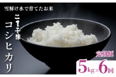 【定期便】令和6年産 コシヒカリ 5kg×6ヶ月 30kg 数量限定 特別栽培米 二王子米 新潟産 新潟米 新発田産 新発田 お米 米 kome 白米 ご飯 こめ ごはん ライス ふるさと納税米 コシヒカリ お弁当 食品 せいだ とんとん市場 ブランド米 人気米 玄米 新潟県 新発田市 seida007