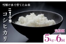 【定期便】令和6年産 コシヒカリ 5kg×6ヶ月 30kg 数量限定 特別栽培米 二王子米 新潟産 新潟米 新発田産 新発田 お米 米 kome 白米 ご飯 こめ ごはん ライス ふるさと納税米 コシヒカリ お弁当 食品 せいだ とんとん市場 ブランド米 人気米 玄米 新潟県 新発田市 seida007