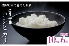 【定期便】令和6年産 コシヒカリ 10kg（5kg×2袋）×6ヶ月 60kg 数量限定 特別栽培米 二王子米 新潟産 新潟米 新発田産 新発田 お米 米 kome 白米 ご飯 こめ ごはん ライス ふるさと納税米 コシヒカリ お弁当 食品 せいだ とんとん市場 ブランド米 人気米 玄米 新潟県 新発田市 seida008