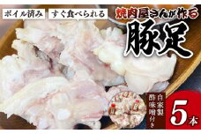 豚 豚足 トンソク 5本 とんそく 焼肉 豚肉 韓国料理 韓国 冷凍 焼肉屋 ぶた 時短 味付き ブタ グルメ 一品  ご飯 お米 おつまみ おかず 贈答 プレゼント 保存 新潟 新潟県 新潟産 新発田 新発田市 精香苑 