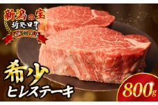 ヒレ肉 ヒレ ステーキ 800g フィレ  牛肉 和牛 新発田牛 赤身 焼肉 ふるさと納税 和牛 BBQ キャンプ 特選 贅沢 厳選和牛 ブランド牛 ギフト 贈答 新潟 新潟県 新潟産 新発田 新発田市 新発田産 アルビレックス アルビレックス新潟 近江牛 神戸牛 松阪牛 米沢牛 三大和牛 に負けない えのもとミートenomoto008_01 