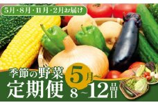 【5月開始】 野菜定期便 年4回 8～12種類 数量限定 野菜 定期便 セット 詰め合わせ 旬 おまかせ 野菜BOX 詰め合わせ 野菜定期便 ふるさと納税野菜 やさい ていばん セット 産地直送  せいだ 新潟 新発田 seida011