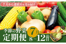 【7月開始】 野菜定期便 年6回 8～12種類 数量限定 野菜 定期便 セット 詰め合わせ 旬 おまかせ 野菜BOX 詰め合わせ 野菜定期便 ふるさと納税野菜 やさい ていばん セット 産地直送  せいだ 新潟 新発田 seida015