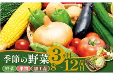 野菜 定期便 3回 8～12種類 旬 おまかせ 野菜BOX 詰め合わせ 野菜定期便 ふるさと納税野菜 やさい ていばん 詰め合わせ セット 産地直送 新鮮 新潟 新発田 seida009