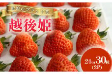いちご 越後姫 3L～2L 24粒 30粒 採れたて 苺 イチゴ 新潟県 新発田市 えちごひめ 朝どれ 大きい 甘い 生産者直送 農家 直送 数量限定 季節限定 期間限定 advan001