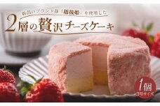 【4月より順次発送】 いちごチーズケーキ 1個 9cm ホールケーキ 越後姫 チーズケーキ 農高卵 レアチーズ ベイクドチーズケーキ ベイクド ケーキ デザート Sweets スイーツ 乳製品 加工品 加工食品 乳 贅沢 濃厚 お菓子 洋菓子 菓子 おやつ ご褒美 冷凍 誕生日 新柳本店 母の日 父の日 新潟 新発田 sinyanagi006