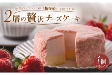【4月より順次発送】 いちごチーズケーキ 1個 9cm ホールケーキ 越後姫 チーズケーキ 農高卵 レアチーズ ベイクドチーズケーキ ベイクド ケーキ デザート Sweets スイーツ 乳製品 加工品 加工食品 乳 贅沢 濃厚 お菓子 洋菓子 菓子 おやつ ご褒美 冷凍 誕生日 新柳本店 母の日 父の日 新潟 新発田 sinyanagi006