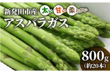 先行予約 アスパラガス 800g 令和7年産 アスパラ 甘い 太い 柔らかい 特産品 野菜 春野菜 夏野菜 JA北新潟 新潟県 新発田産 新発田市 JA001
