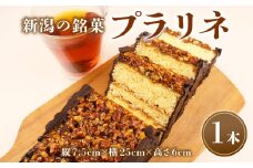 プラリネ 1本 チョコプラリネ チョコレート チョコ アーモンド ケーキ デザート キャラメリゼ 新潟 父の日 贈答 熨斗 お茶請け お茶菓子 お土産 洋菓子 特産品 名物 お取り寄せ やまの辺 新潟県 新発田市 yamanobe010