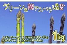 受付終了間近 アスパラ 新鮮 朝採り 1kg アスパラガス サイズ レギュラー 紫 太め 混合 朝採れ 新鮮 令和7年産 甘い 柔らかい 肉 巻き ベーコン 巻き お弁当 弁当 特産品 野菜 春野菜 星野農園 新潟 新潟県 新発田産 新発田市 hoshino002