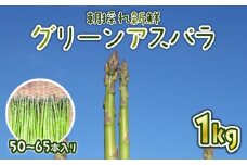 受付終了間近 アスパラ 新鮮 朝採り 1kg (50~65本入り) 朝採れ 新鮮 令和7年産 アスパラガス 甘い 柔らかい 肉 巻き ベーコン 巻き 特産品 野菜 春野菜 星野農園 新潟 新潟県 新発田産 新発田市 hoshino001
