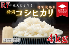 【令和7年先行予約】特別栽培米コシヒカリ 4kg ｜ 先行予約 令和7年産 特栽米 コシヒカリ 精米 白米 ご飯 おにぎり 弁当 減農薬 新潟県産コシヒカリ 新発田産 新潟コシヒカリ 米 お米 こめ アグリフルキャス湖南 新潟県 新発田市 afk001
